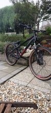 CTM DirtKing