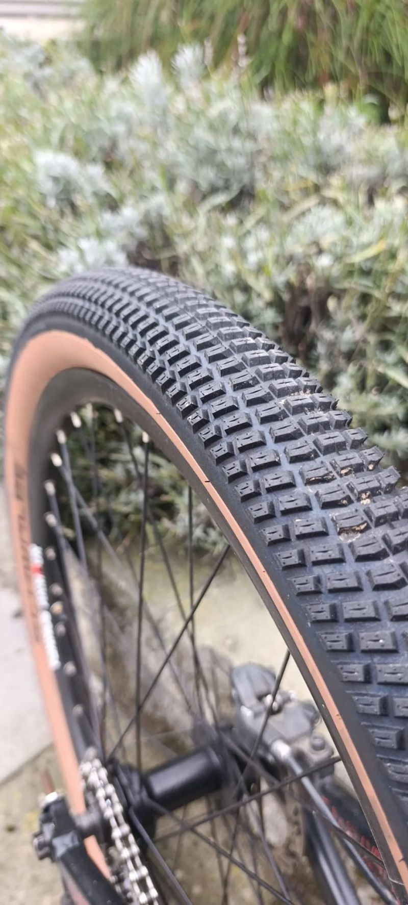 CTM DirtKing