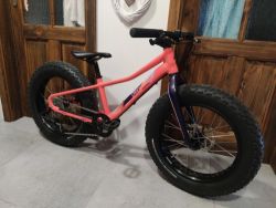 Specialized Fatboy 20