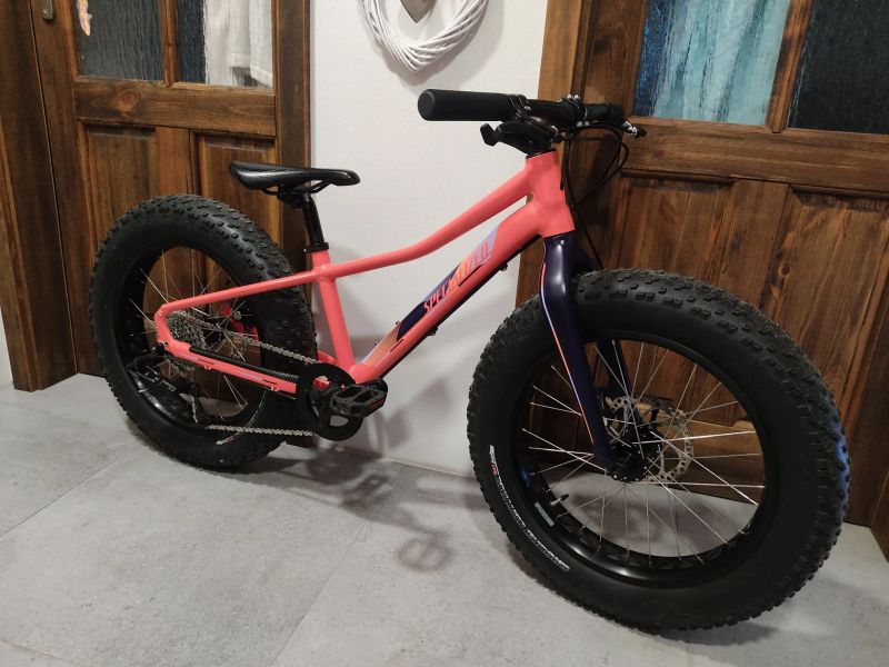 Specialized Fatboy 20