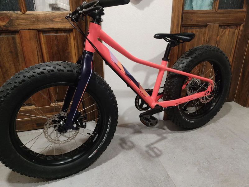 Specialized Fatboy 20