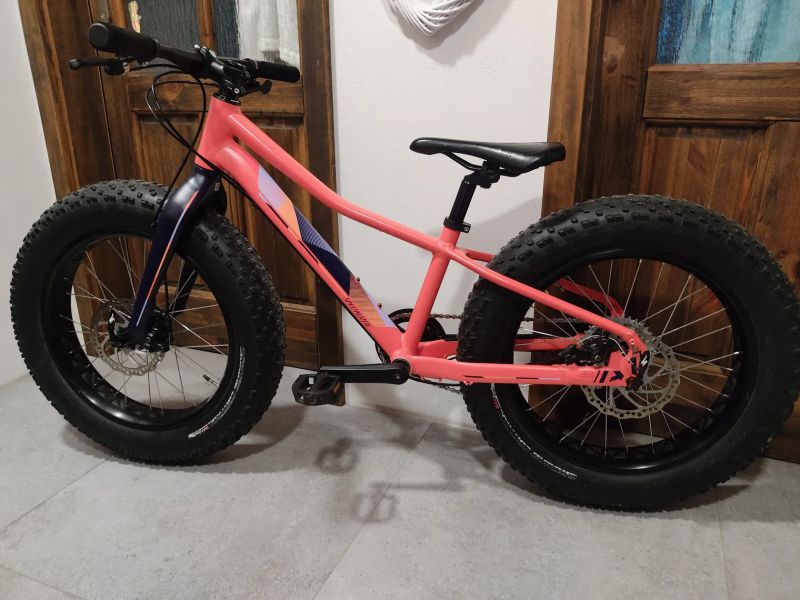 Specialized Fatboy 20