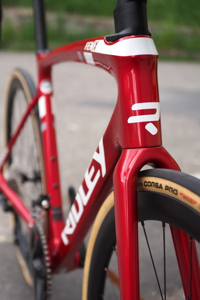 silniční kolo Ridley Fenix Disc 105 2x12 Carbon Wheels vel. S (odpovídá spíše M) - SLEVA 35 %