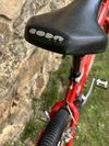 Cannondale M800 Beast of the East
