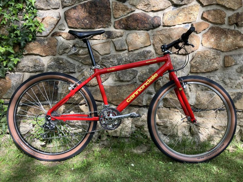Cannondale M800 Beast of the East