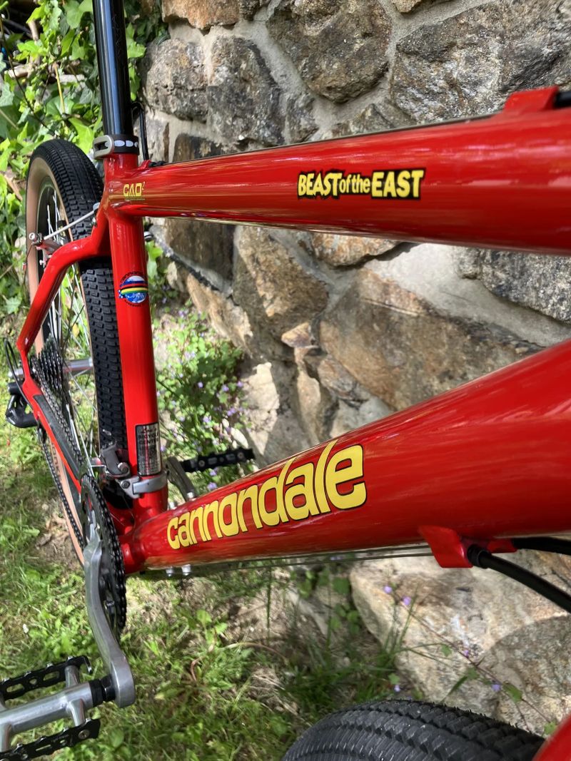 Cannondale M800 Beast of the East