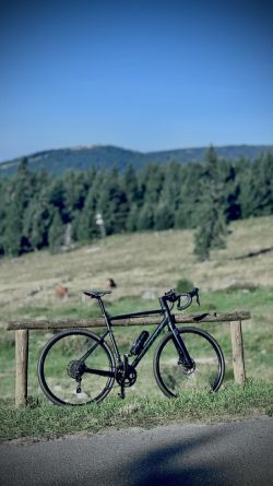 Scott Speedster 20