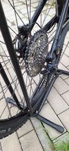 Canyon Neuron 5