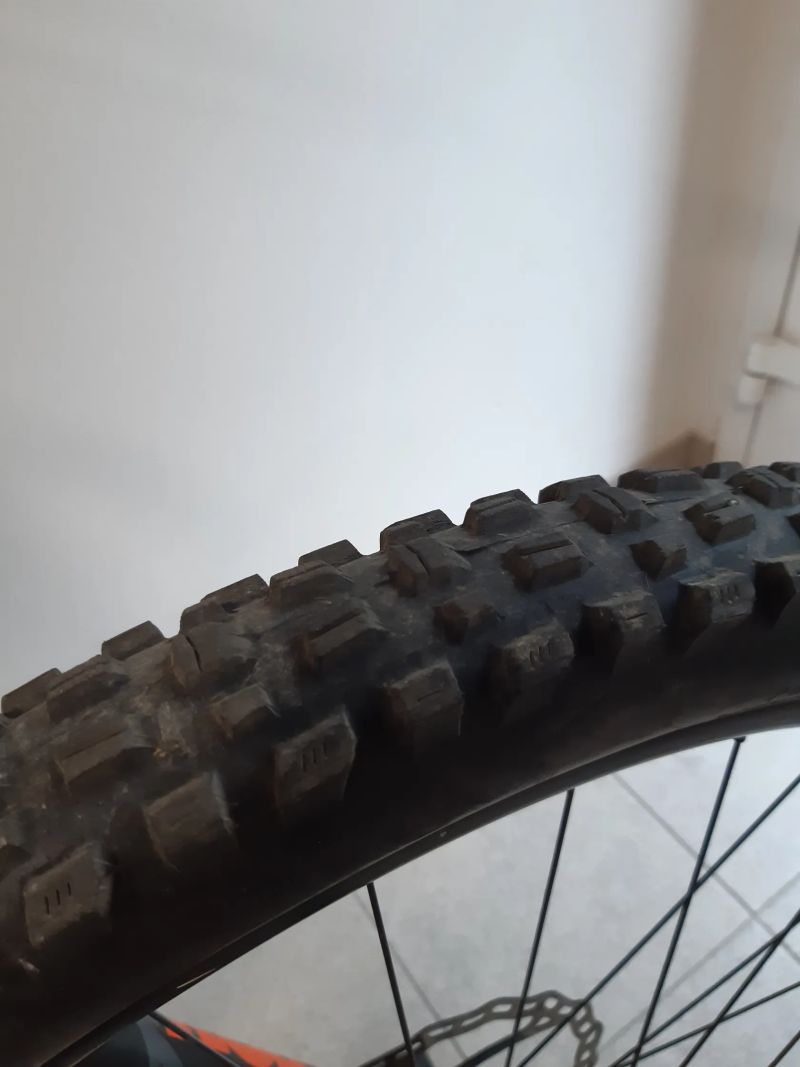 Propain Tyee AL 29, L