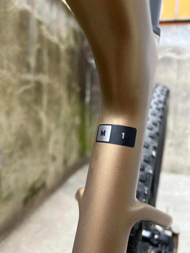 Giant Revolt advanced 1 steampunk