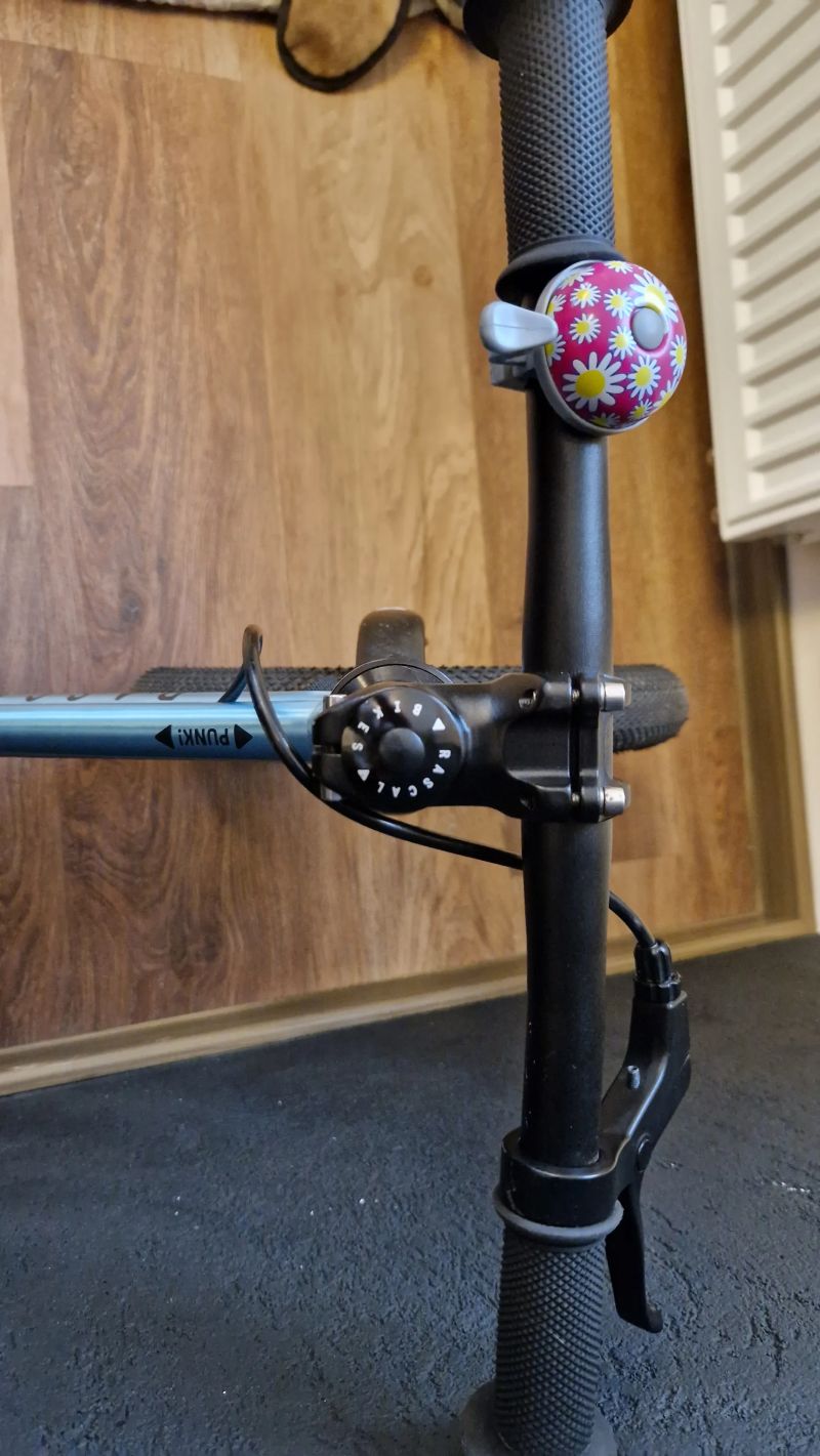 Dětské odrážedlo Rascal Punk pro malé rošťáky 80-95cm