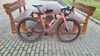 Canyon Grizl CF SL 8 SRAM FORCE 1x12