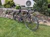 Colnago Prestige