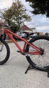 Santa Cruz Jackal Long