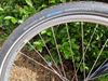 Prodám zachovalé dámské/juniorské kolo, 26", alutec triple rám, osazení Shimano, allterrain bike