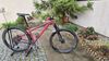 Canyon Stoic 3 - top stav s upgrady
