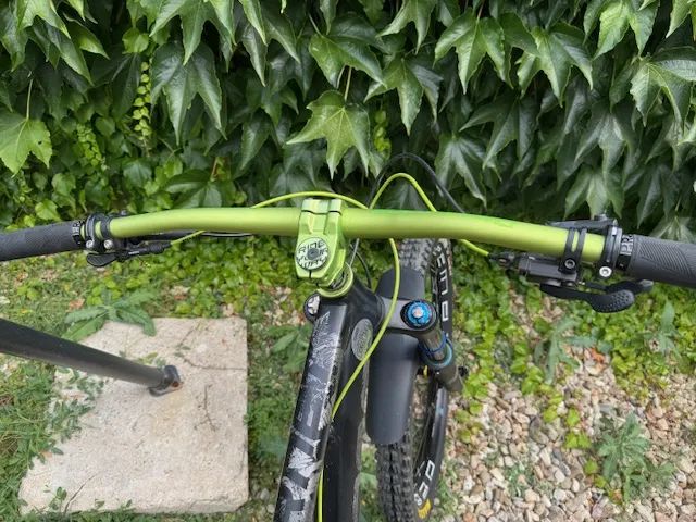 Dartmoor Hornet - bestie :)