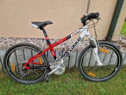 Maxbike m300