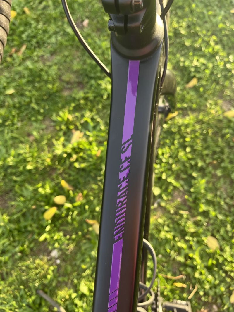 Canyon Endurace CF SL