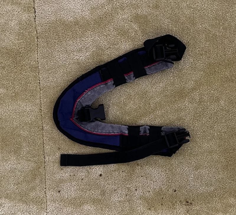 Thule Chariot CX1