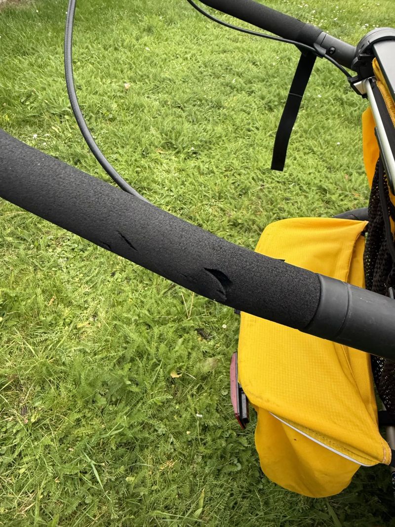 Thule Chariot Sport 1