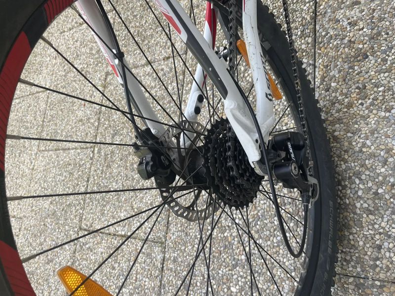 Scott Aspect 30