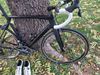 Pardus - matt Ultegra Di2