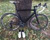 Pardus - matt Ultegra Di2