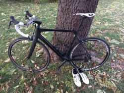Pardus - matt Ultegra Di2