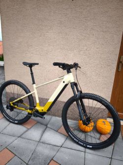 Superior eXP 6.7 100Nm,800Wh BOSCH