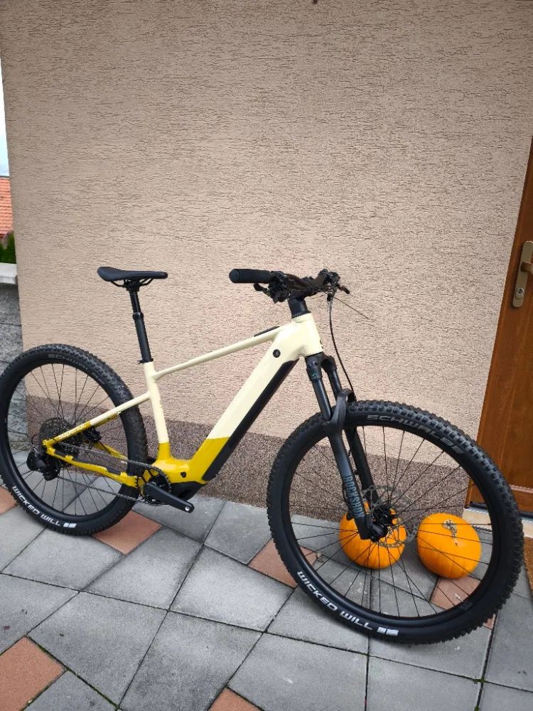 Superior eXP 6.7 100Nm,800Wh BOSCH