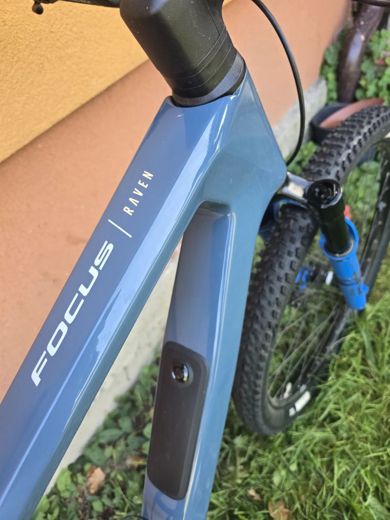FOCUS - Raven 2024