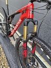 Rocky Mountain ELEMENT (Costum)