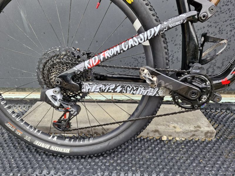 Rocky Mountain ELEMENT (Costum)