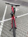 Pells Thorr 3 ER Red