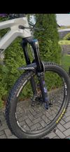 Canyon Strive cfr underdog 2024