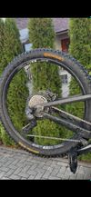 Canyon Strive cfr underdog 2024