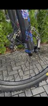 Canyon Strive cfr underdog 2024