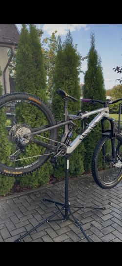 Canyon Strive cfr underdog 2024