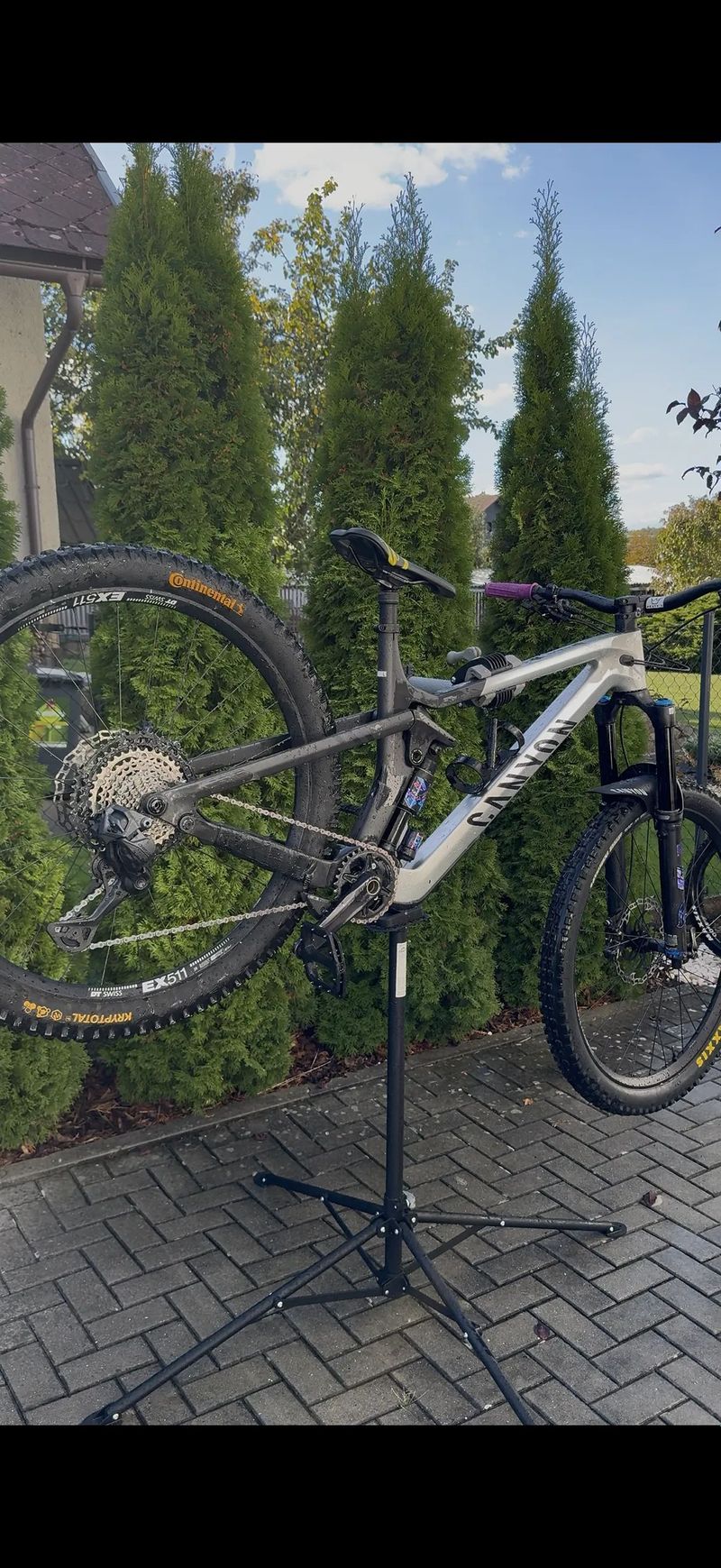 Canyon Strive cfr underdog 2024