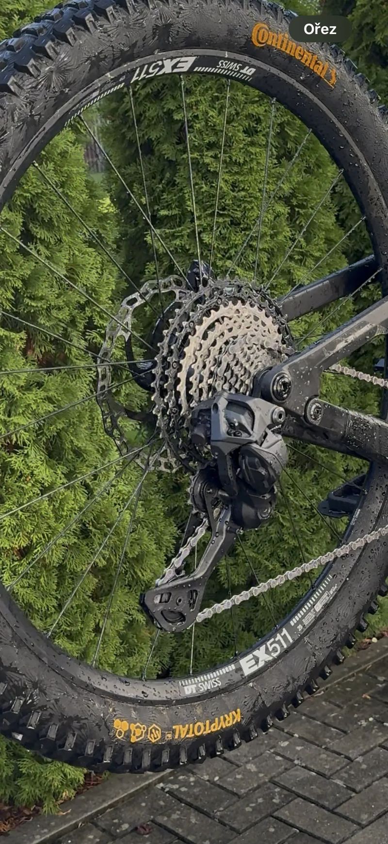 Canyon Strive cfr underdog 2024