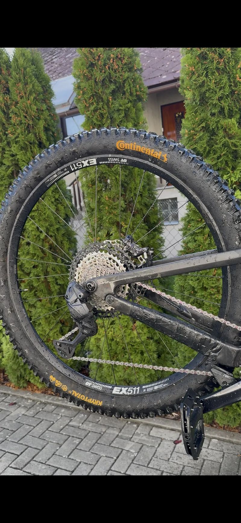 Canyon Strive cfr underdog 2024