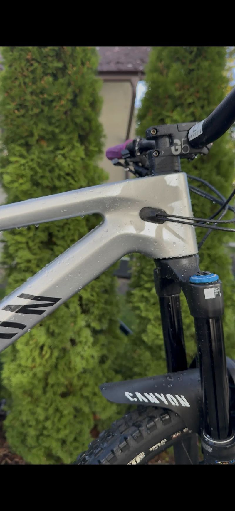 Canyon Strive cfr underdog 2024