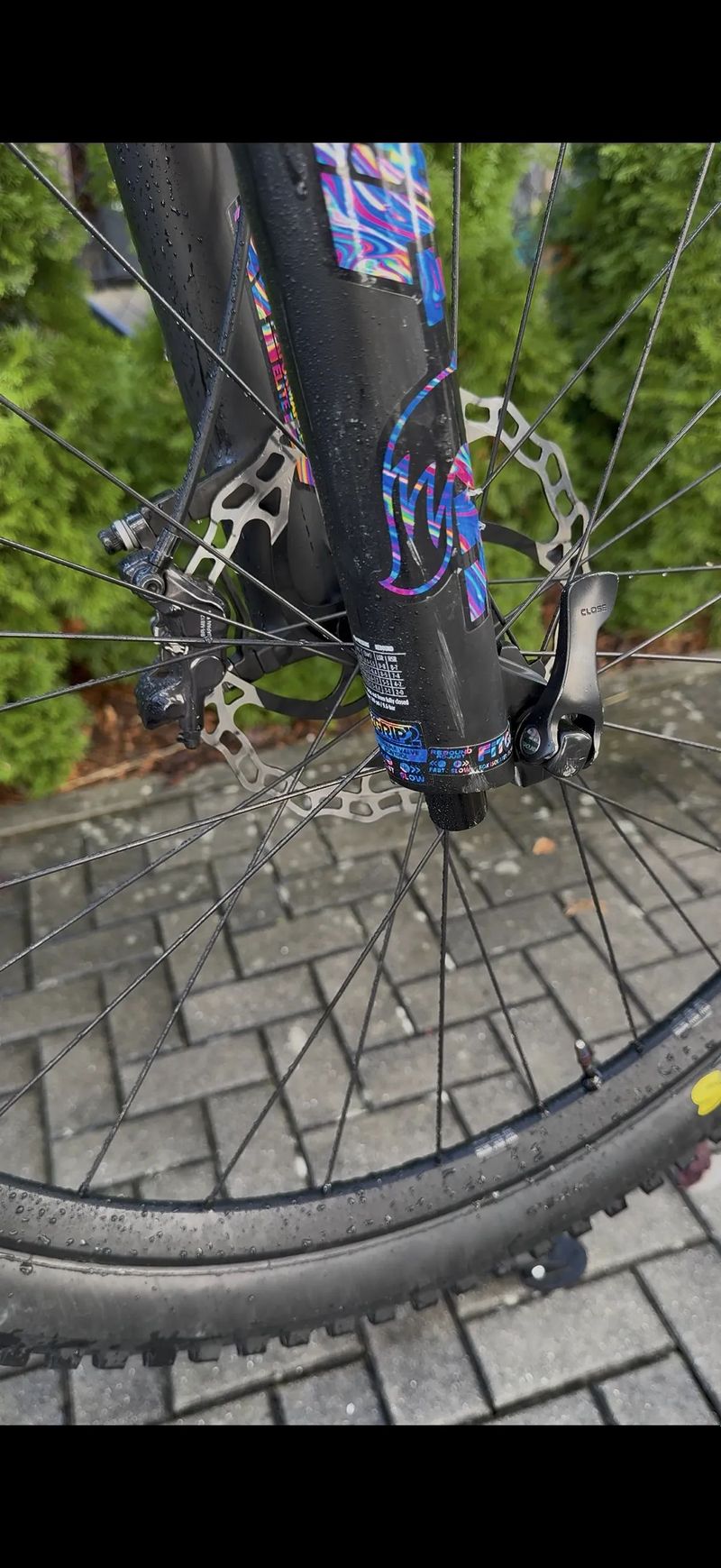 Canyon Strive cfr underdog 2024