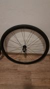 Kola z Merida Scultura 4000