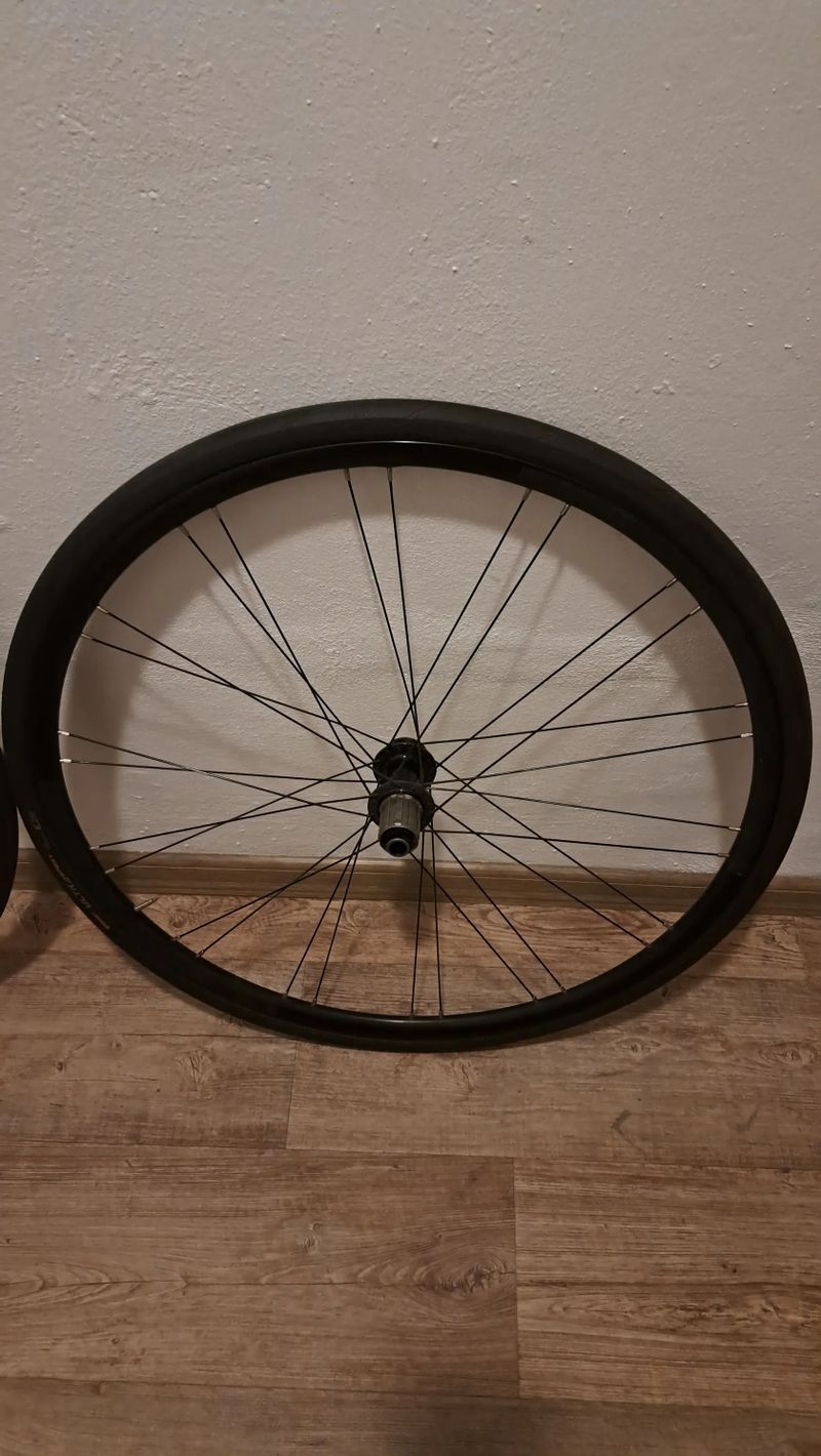 Kola z Merida Scultura 4000