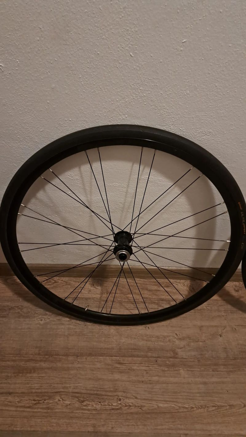 Kola z Merida Scultura 4000