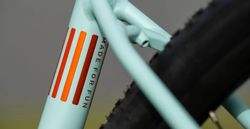 Marin DSX