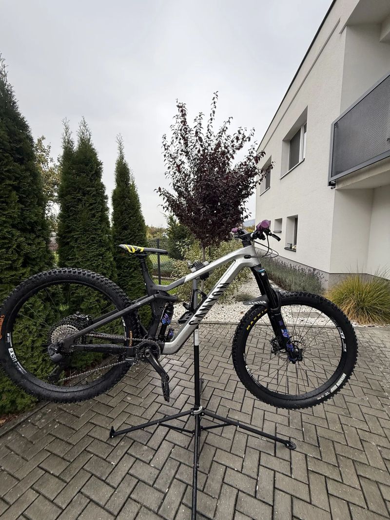 Canyon Strive cfr underdog 2024