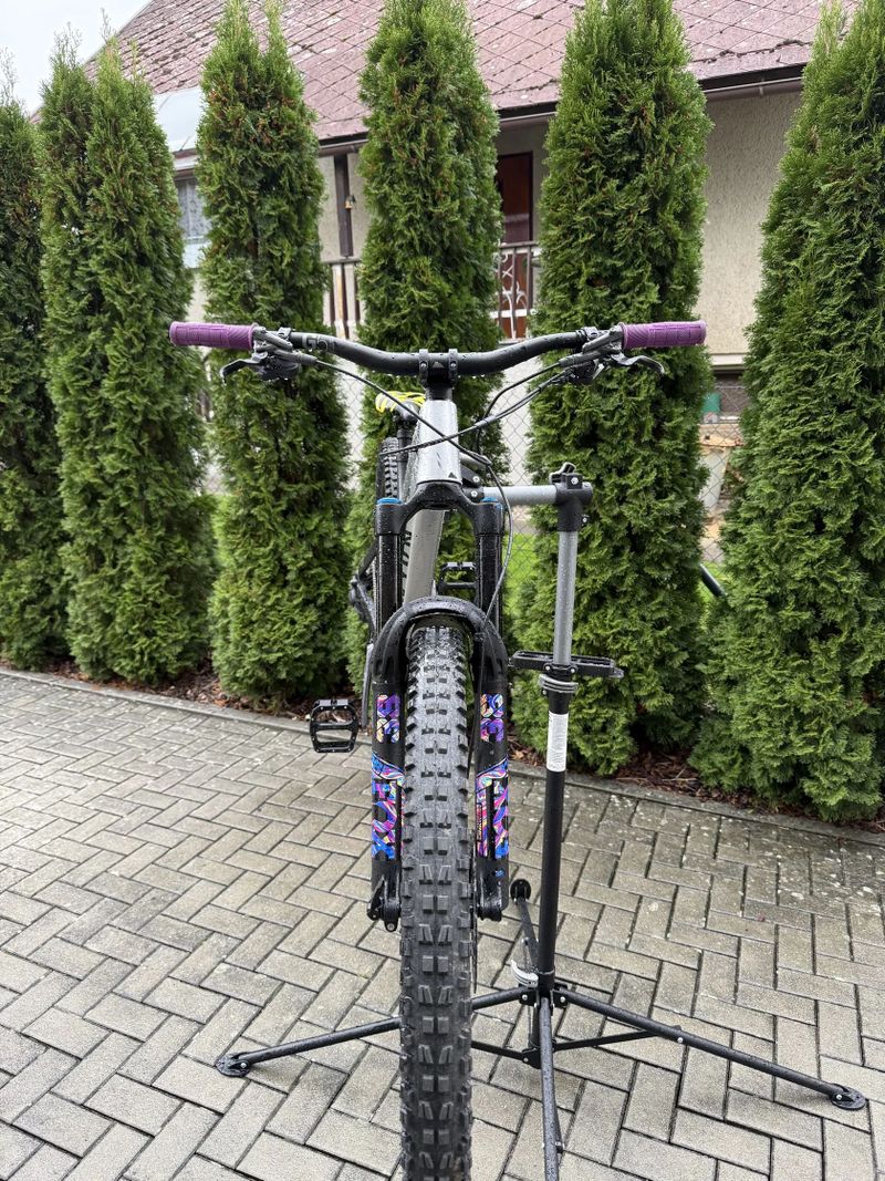 Canyon Strive cfr underdog 2024